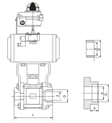 1557049978394505.jpg 2011081811083373499.jpg